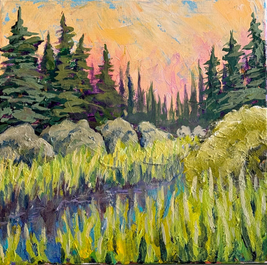 THE BEAR SWAMPS